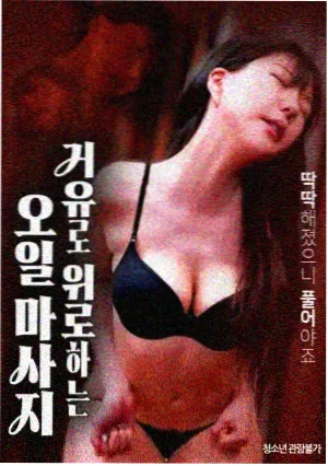 驯龙高手3系列收官篇封面
